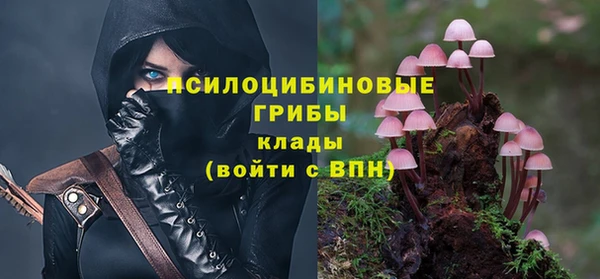 герыч Алзамай